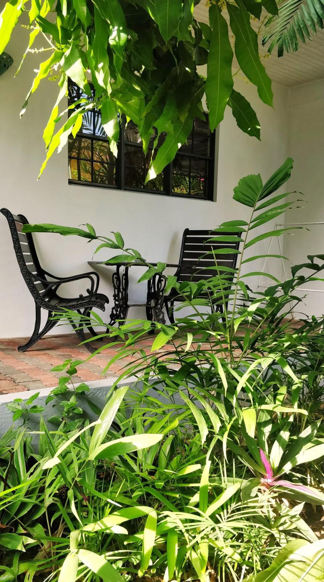 كراون بوينت Bananaquit Tobago -Stay Near The Beach المظهر الخارجي الصورة