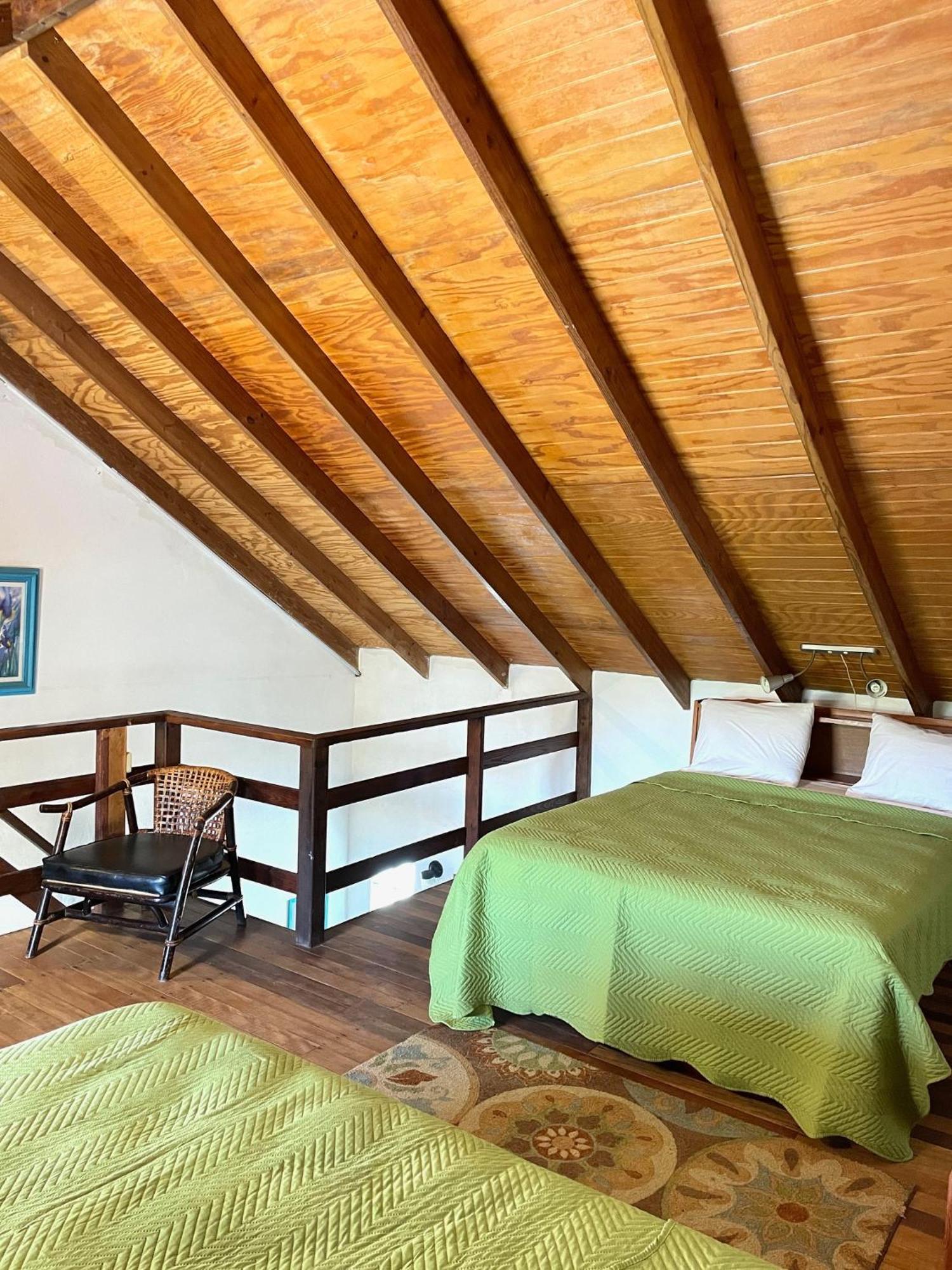 كراون بوينت Bananaquit Tobago -Stay Near The Beach المظهر الخارجي الصورة