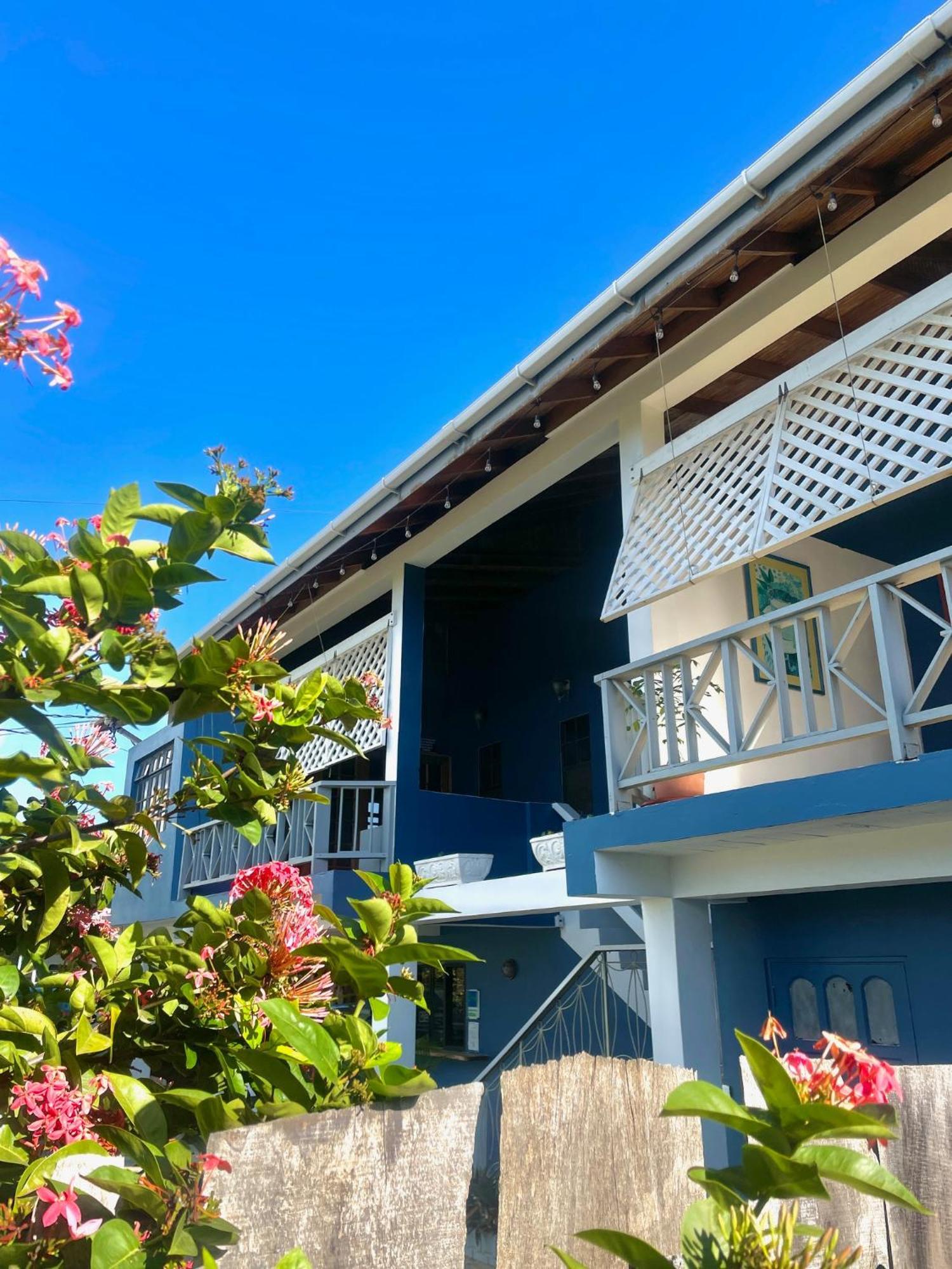 كراون بوينت Bananaquit Tobago -Stay Near The Beach المظهر الخارجي الصورة
